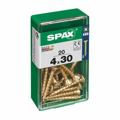 Kruvide karp Spax, 20 tk цена и информация | Механические инструменты | kaup24.ee