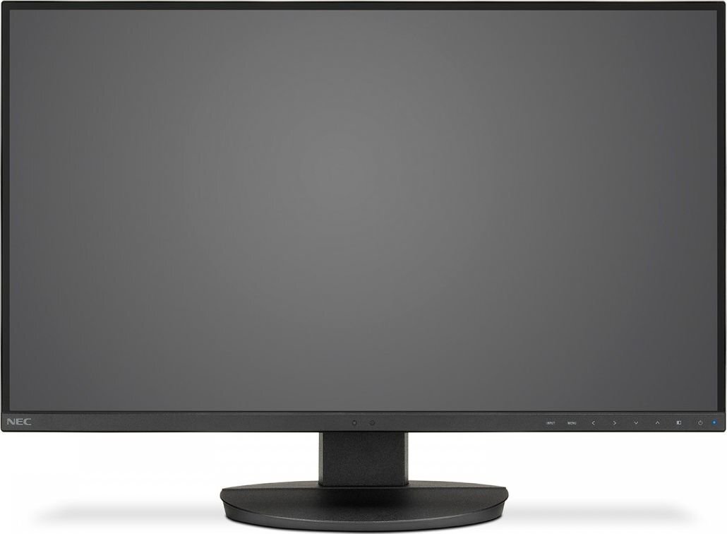 NEC 60004303 цена и информация | Monitorid | kaup24.ee