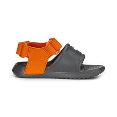 Vabaajajalatsid beebidele Puma Divecat v2 Injex Inf Cool Dark Grey - 36954513 36954513.27 цена и информация | Детские сандали | kaup24.ee