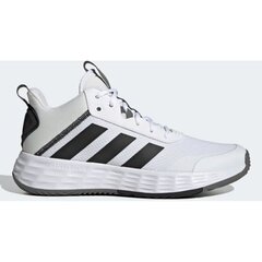 Korvpallijalatsid meestele Adidas H00469, valge цена и информация | Кроссовки для мужчин | kaup24.ee