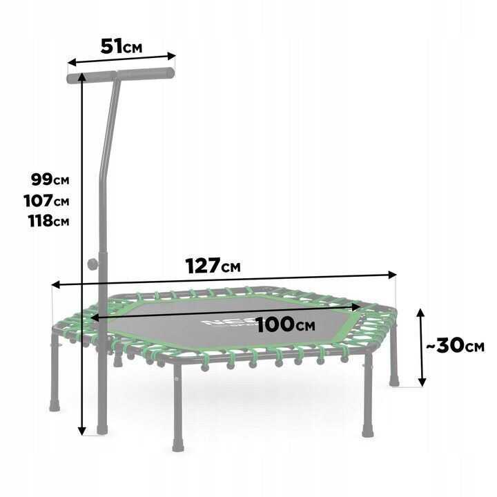 Fitness trampoliin käepidemega 127 cm, kuusnurkne, roheline цена и информация | Batuudid ja batuudi varuosad | kaup24.ee