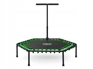Fitness trampoliin käepidemega 127 cm, kuusnurkne, roheline цена и информация | Батуты | kaup24.ee