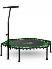 Fitness trampoliin käepidemega 127 cm, kuusnurkne, roheline цена и информация | Батуты | kaup24.ee