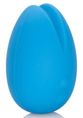Массажёр CalExotics Marvelous Eggciter, синий цена и информация | Вибраторы | kaup24.ee