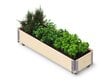 Ratastega lillekast Herbs Box, 1200 x 400 x 195 mm hind ja info | Kasvuhooned | kaup24.ee