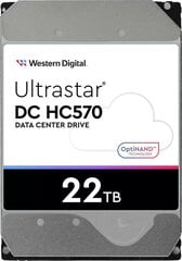 Western Digital Ultrastar DC HC570 (0F48155) hind ja info | Sisemised kõvakettad (HDD, SSD, Hybrid) | kaup24.ee