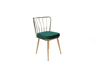 Набор стульев Асир, зеленый/золотой, 3 шт. цена и информация | Стулья для кухни и столовой | kaup24.ee