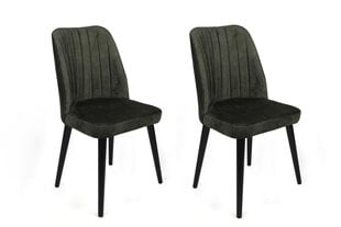 Набор стульев Асир, зеленый/черный, 2 шт. цена и информация | Стулья для кухни и столовой | kaup24.ee