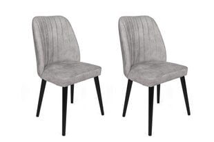 Набор стульев Асир, серый/черный, 2 шт. цена и информация | Стулья для кухни и столовой | kaup24.ee
