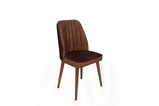 Набор стульев Асир, коричневый/коричневый, 2 шт. цена и информация | Стулья для кухни и столовой | kaup24.ee