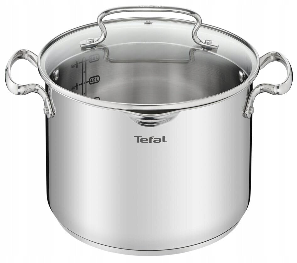 Tefal pott, 6,1 l цена и информация | Potid ja kiirkeedupotid | kaup24.ee