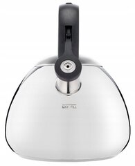 Tefal terasest veekeetja, 2,7 l цена и информация | Чайники, кофейники | kaup24.ee