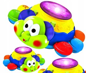 Interaktiivne LED mänguasi Kilpkonn цена и информация | Игрушки для малышей | kaup24.ee
