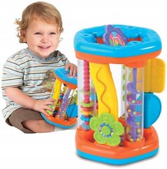 Interaktiivne mänguasi Dumel Discovery 42307 цена и информация | Игрушки для малышей | kaup24.ee