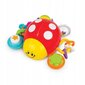 Interaktiivne mänguasi Winfun Press 'N Go Ladybug hind ja info | Imikute mänguasjad | kaup24.ee