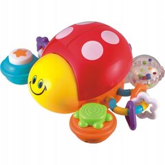 Interaktiivne mänguasi Winfun Press 'N Go Ladybug цена и информация | Игрушки для малышей | kaup24.ee