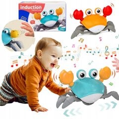 Interaktiivne mänguasi helidega Krabi, sinine цена и информация | Игрушки для малышей | kaup24.ee