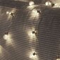 Tüdrukud / LED -dekoratiivsed lambid sibula kujuga - külm värv hind ja info | Jõulutuled | kaup24.ee