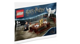 30420 Lego® Harry Potter ja Hedwig öökull цена и информация | Конструкторы и кубики | kaup24.ee