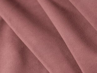 Diivan Cosmopolitan Design Arendal, roosa цена и информация | Диваны | kaup24.ee