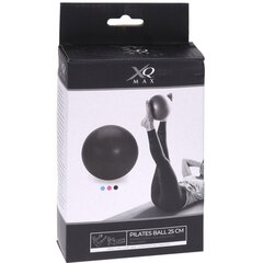 XQMAX pilatese pall 25 cm, sinine цена и информация | Гимнастические мячи | kaup24.ee