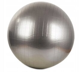 Гимнастический мяч Marton, 65 см, серый цена и информация | Гимнастические мячи | kaup24.ee