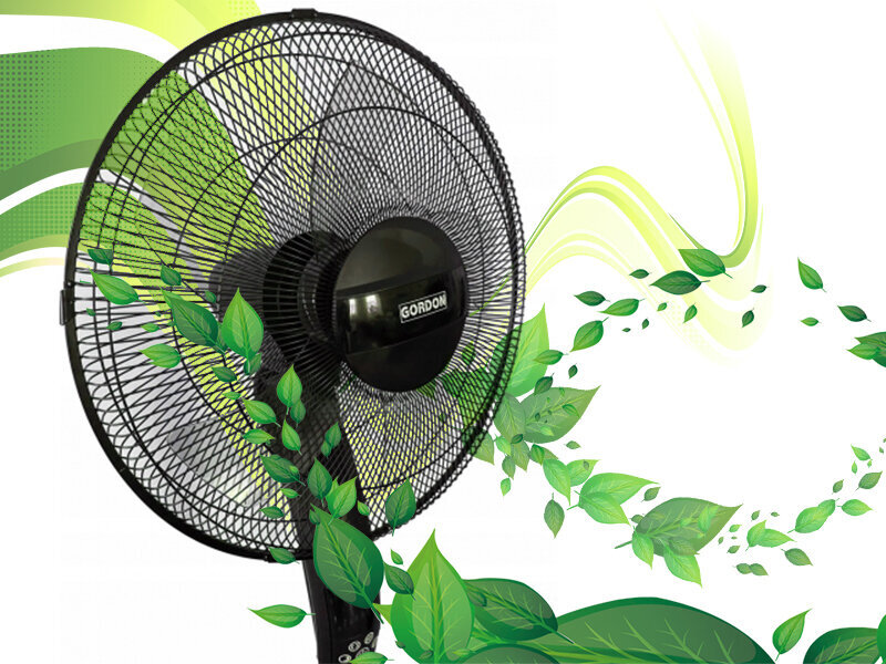 Ventilaator puldiga "Gordon" 70W, must hind ja info | Ventilaatorid | kaup24.ee