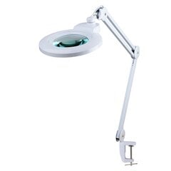 Kosmeetika LED-lamp suurendusklaasiga 5D, valge (alusega) AF-0032 цена и информация | Мебель для салонов красоты | kaup24.ee