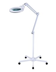 Косметологическая LED лампа с лупой 3D, белая (с подставкой) AF-0031 цена и информация | Мебель для салонов красоты | kaup24.ee