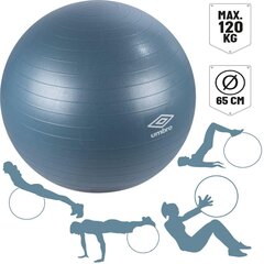 Fitnesspall 65cm, sinine цена и информация | Гимнастические мячи | kaup24.ee