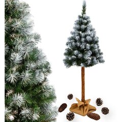елка на стволе 180 см алмазная сосна цена и информация | Новогодние елки | kaup24.ee