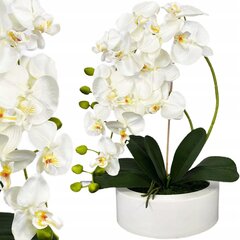 Kunstlik orhideepott hind ja info | Kunstlilled | kaup24.ee