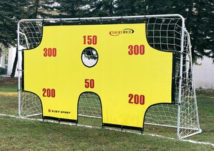 Футбольные ворота с мишенями Spartan, 90х165х90 см. цена и информация | Футбольные ворота и сетки | kaup24.ee
