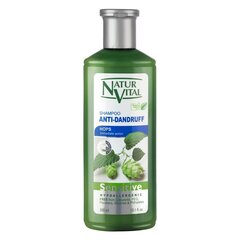 Šampoon Naturaleza y Vida Sensitive Kõõmavastane, 300 ml hind ja info | Šampoonid | kaup24.ee