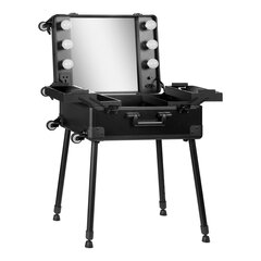 Профессиональный чемодан для косметики T-27 BLACK цена и информация | Косметички, косметические зеркала | kaup24.ee