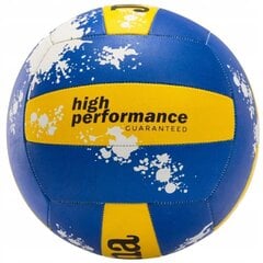 волейбол r.5 цена и информация | Волейбольные мячи | kaup24.ee