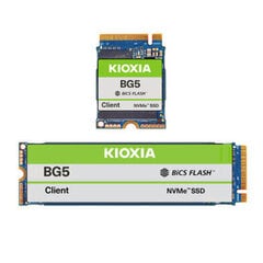 Kioxia KBG50ZNS1T02 hind ja info | Sisemised kõvakettad (HDD, SSD, Hybrid) | kaup24.ee