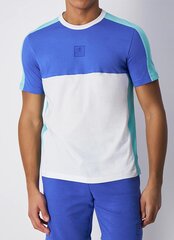 Champion meeste T-särk, sinine-mündiroheline hind ja info | Meeste T-särgid | kaup24.ee