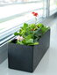 Vazonas Sonata Tabletop 10x30x10 cm, juodas цена и информация | Dekoratiivsed lillepotid | kaup24.ee