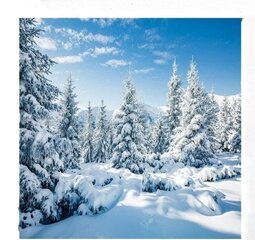 Фотофон Зимний пейзаж, 3x3 м цена и информация | Осветительное оборудование для фотосъемок | kaup24.ee
