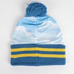 Bluey Boy talvemütsid ja kinnaste komplekt 2200010066 цена и информация | Шапки, перчатки, шарфы для мальчиков | kaup24.ee