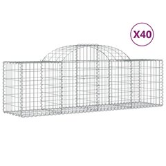 vidaXL kaarekujulised gabioonkorvid 40 tk, 200x50x60/80 cm, raud hind ja info | Aiad ja tarvikud | kaup24.ee