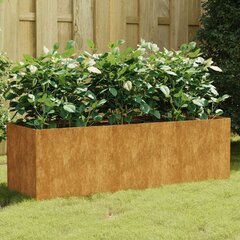 vidaXL taimekast, 120 x 40 x 40 cm, Corten-teras цена и информация | Ящики для цветов | kaup24.ee