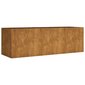 vidaXL taimekast, 120 x 40 x 40 cm, Corten-teras hind ja info | Lillekastid | kaup24.ee