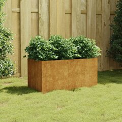 vidaXL taimekast, 80 x 40 x 40 cm, Corten teras цена и информация | Ящики для цветов | kaup24.ee