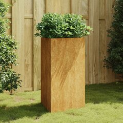 vidaXL aia taimekast, 50 x 43 x 75 cm Corten teras цена и информация | Ящики для цветов | kaup24.ee