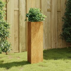 vidaXL aia taimekast, 30 x 26 x 75 cm Corten teras цена и информация | Ящики для цветов | kaup24.ee