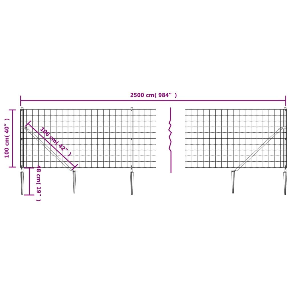 vidaXL traataed vaiadega, antratsiithall, 1 x 25 m hind ja info | Aiad ja tarvikud | kaup24.ee