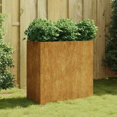 vidaXL taimekast, 80 x 40 x 80 cm, Corten teras цена и информация | Ящики для цветов | kaup24.ee