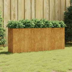 vidaXL taimekast, 200 x 40 x 80 cm, Corten-teras hind ja info | Lillekastid | kaup24.ee